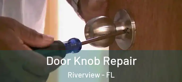  Door Knob Repair Riverview - FL