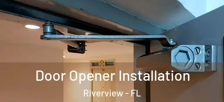  Door Opener Installation Riverview - FL