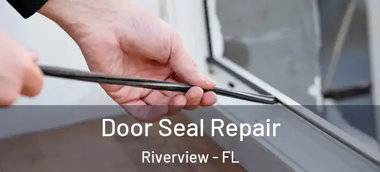 Door Seal Repair Riverview - FL