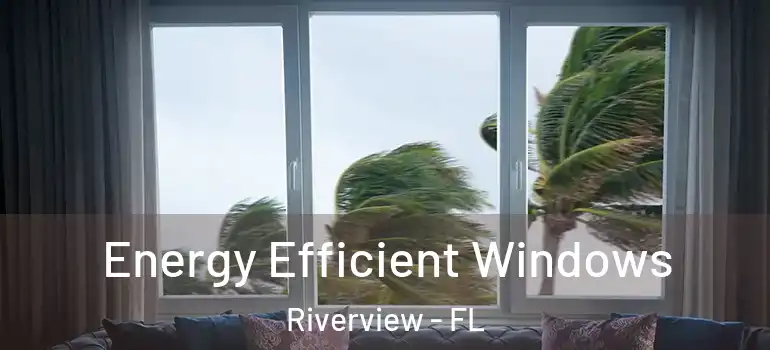  Energy Efficient Windows Riverview - FL