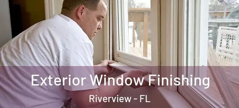  Exterior Window Finishing Riverview - FL