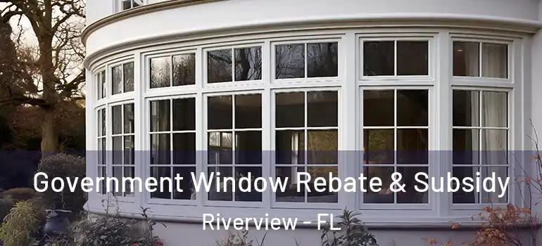  Government Window Rebate & Subsidy Riverview - FL