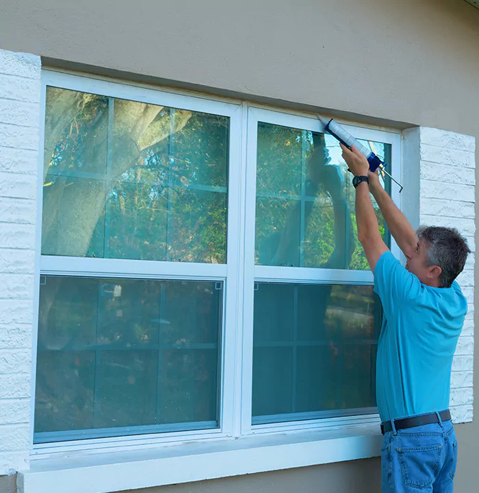 Modern Windows in Riverview, FL