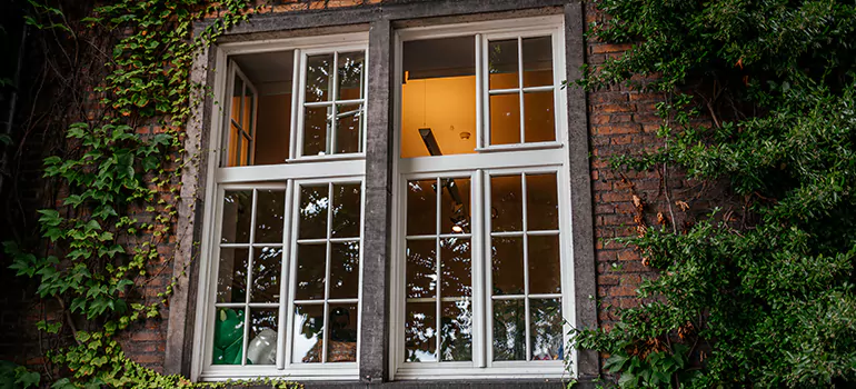 Energy Efficient Wood Windows in Riverview, FL