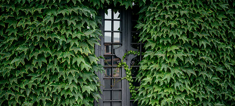 Garden Gate Repair in Riverview, FL