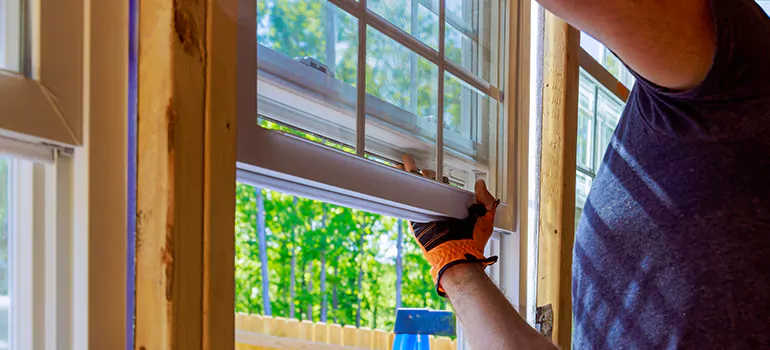 Decorative Window Film Services in Riverview, FL