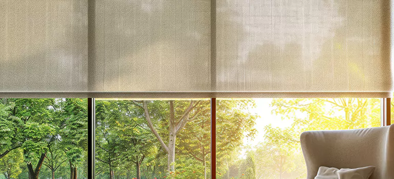 Custom Window Shades in Riverview, FL