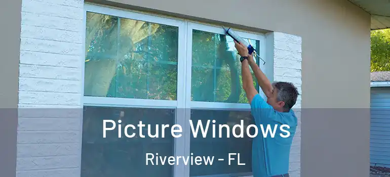  Picture Windows Riverview - FL