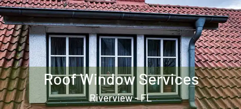  Roof Window Services Riverview - FL