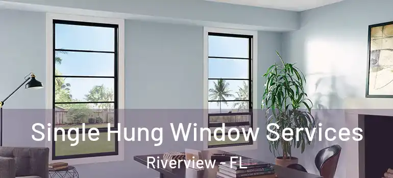  Single Hung Window Services Riverview - FL