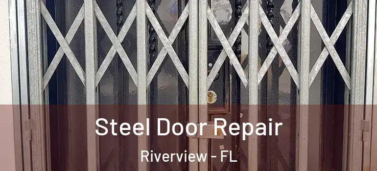  Steel Door Repair Riverview - FL