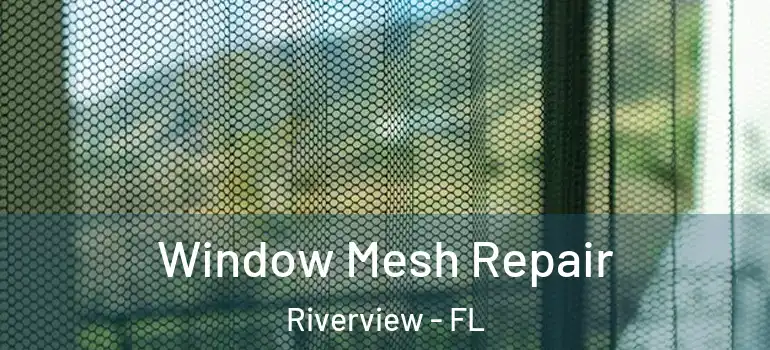 Window Mesh Repair Riverview - FL