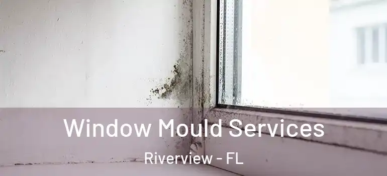  Window Mould Services Riverview - FL