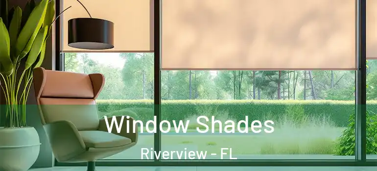  Window Shades Riverview - FL